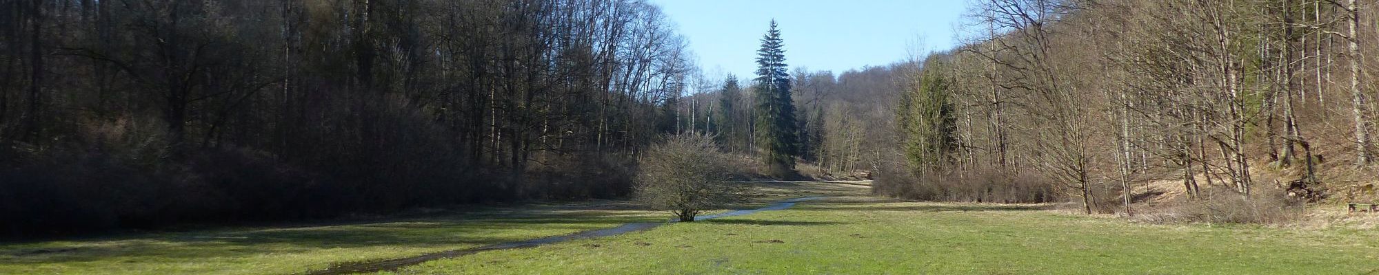 Oberes Helbetal - die Wiese am Waldhaus ist jedes Jahr überflutet